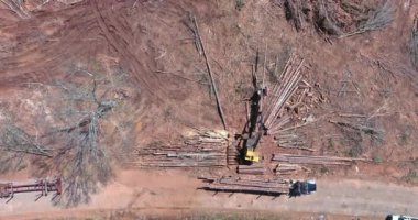 İnşaat alanında çalışan hidrolik manipülatör, keresteleri kaldırarak ormansızlaştırma ormanı olan başka bir yere taşınıyor.