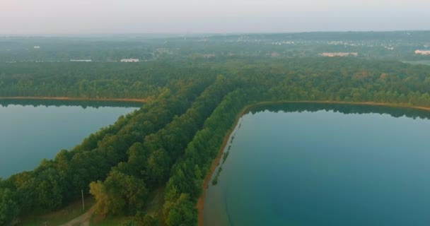 Panorama Dimmig Morgondimma Filtar Skogssjön — Stockvideo