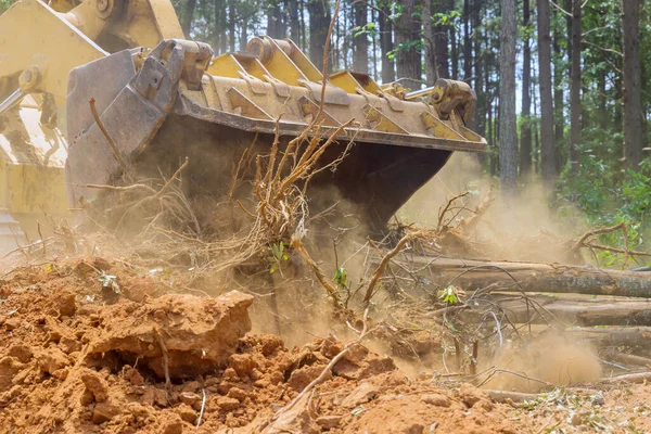 Retroexcavadora Para Trabajos Forestales Durante Tala Bosques Para Obras Nueva —  Fotos de Stock