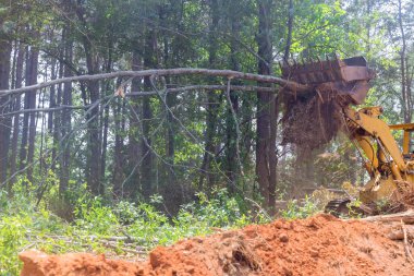 Traktör fren direksiyonu kullanılarak arazi konut inşaatı için ağaçlardan temizlendi.