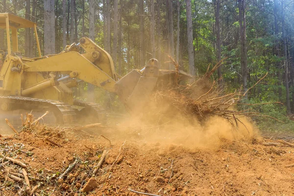In order to build housing developments, tractors skid steers are used to clear land from roots forestry exploitation