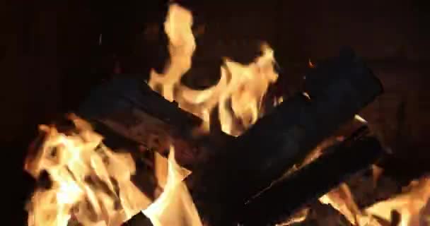 Home Fire Glowing Pieces Fireplace Burning Wood Logs — Stock Video