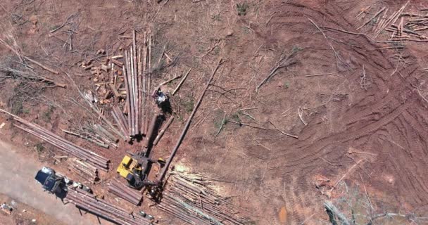 操作装载机圆木的液压机械手抓斗中带毁林森林的新细分准备土地的空中俯视图 — 图库视频影像