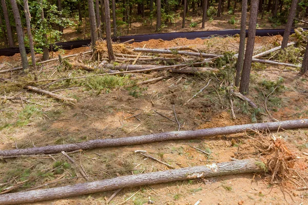 Preparación Terrenos Para Construcción Nuevo Complejo Viviendas Mediante Deforestación Bosques —  Fotos de Stock