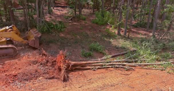 Трактори Використовувалися Очищення Землі Від Дерев Підрозділу Забудови Житла — стокове відео