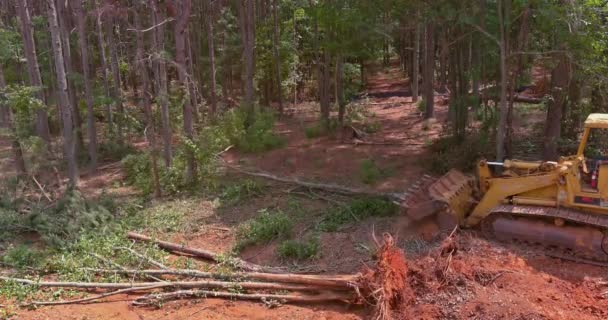 Bomen Werden Verwijderd Uit Een Onderverdeling Voor Een Woningbouwkundige Onderverdeling — Stockvideo