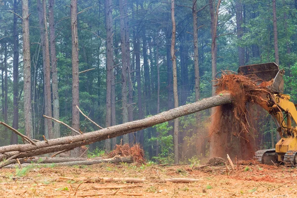 Radici Alberi Abbattuti Terreni Che Stanno Preparando Costruzione Abitazioni Nuovo — Foto Stock