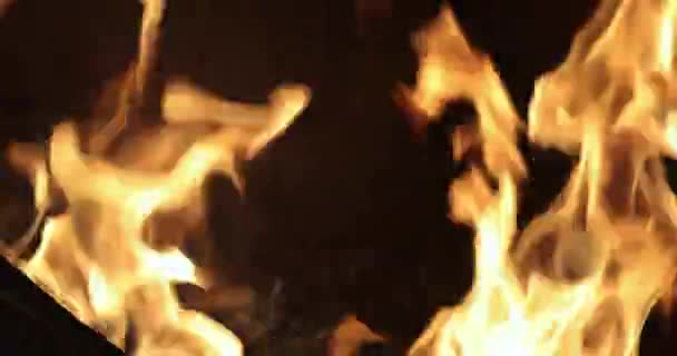 Камін Приміщенні Вдома Під Час Пожежі Колючим Дерев Яним Колодою — стокове відео