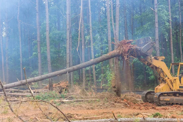 Preparazione Alla Costruzione Nuove Case Trattore Sta Sradicando Alberi Foreste — Foto Stock