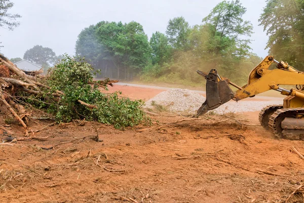 Durante Desarraigo Árboles Deforestación Tractor Está Trabajando Proceso Para Preparar —  Fotos de Stock