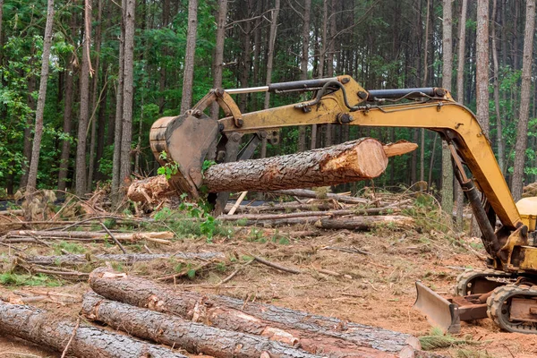 Una Deforestación Bosque Manipulador Tractores Que Levanta Troncos Para Tierra —  Fotos de Stock