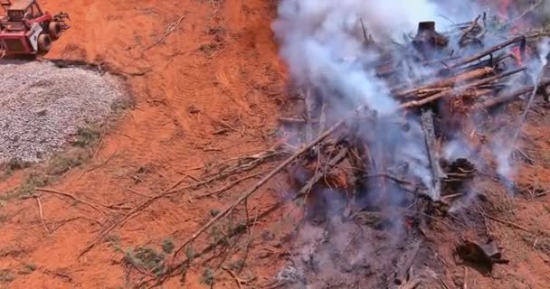 Baustelle Der Vorbereitung Land Der Verbrannten Wald Der Für Den — Stockvideo