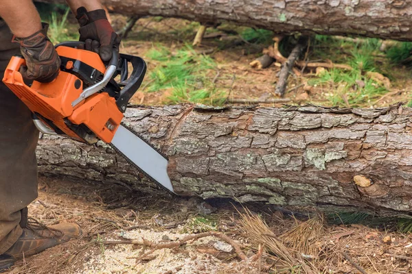 Violent Storm Municipal Worker Chops Tree Chainsaw Has Been Uprooted — Stock Photo, Image