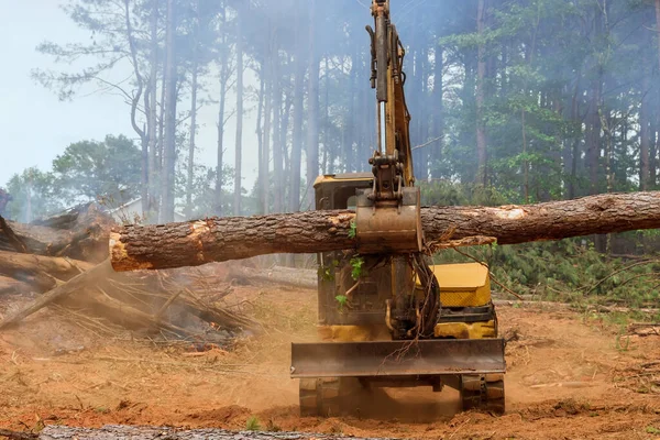 Bosque Realiza Trabajos Manipulación Tractores Levanta Troncos Proceso Para Preparar —  Fotos de Stock