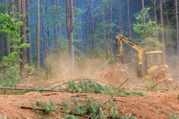 新細分化団地内の住宅建設のための土地整備の一環として 樹木や森林を根こそぎにして森林を破壊する — ストック写真