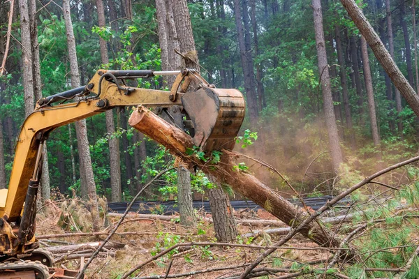 During forest work, it lifts logs with a tractor manipulator the purification of land for housing construction.