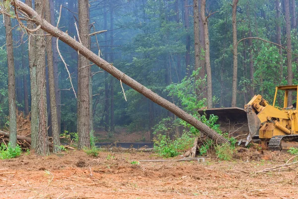在树木被连根拔起的时候 一辆拖拉机正在努力为新房屋的建造准备土地 — 图库照片