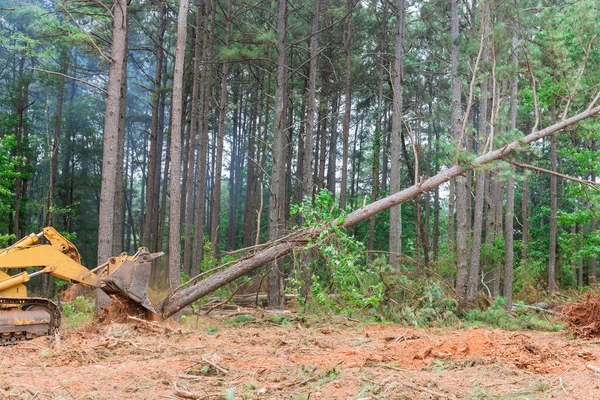 Process Clearing Land Build Houses Trees Uprooted Deforestation Occurs New —  Fotos de Stock