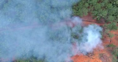 Yeni evler inşa etmek için arazi hazırlığı, inşaat alanındaki köklü ormanları yakmak için kullanılan yangınlar