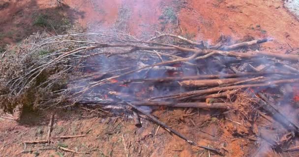Oczyszczanie Terenu Spalonych Drzew Które Zostały Wykorzenione Budowy Domów Nowym — Wideo stockowe