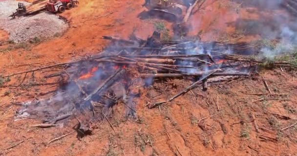 Brûler Forêt Déracinée Pour Construction Nouvelles Maisons Sur Chantier — Video