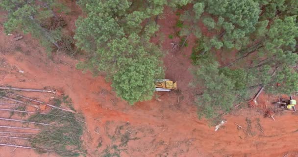 Dozer Déforestation Lors Préparation Chantier Dans Nouveau Complexe Lotissement — Video