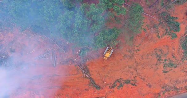 Antes Construcción Una Topadora Utiliza Para Limpiar Una Zona Deforestada — Vídeo de stock