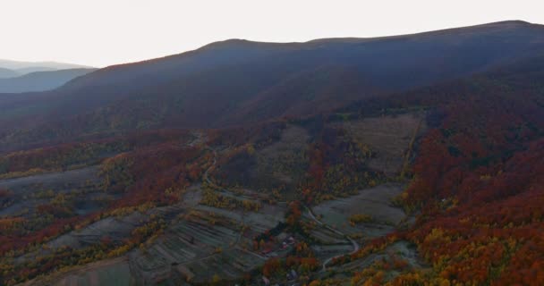 Prachtig Herfstboslandschap Het Bergdal Bij Dageraad — Stockvideo