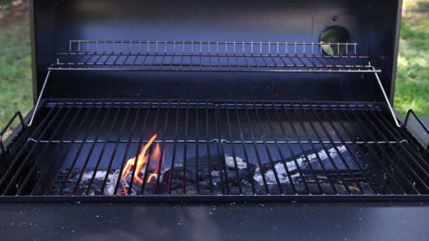 Metal Barbecue Grill Hot Coal Burning Cooking Barbecue — Vídeo de Stock