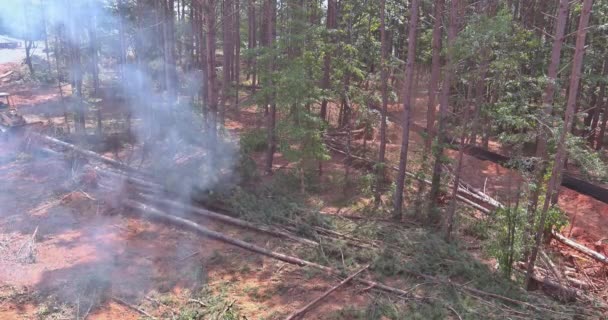 Vue Construction Nouvelles Maisons Tracteur Déracine Des Arbres Des Forêts — Video