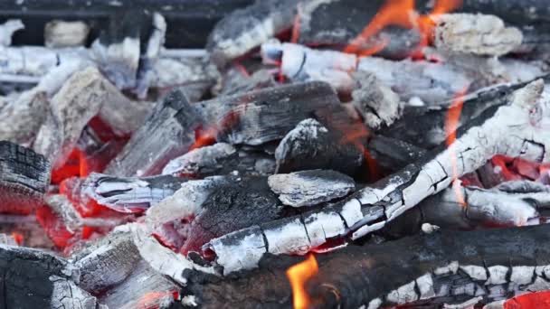 Fire Blazing Bbq Grill Flaming Hot Charcoal Cooks Food — Stock video