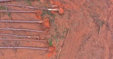 Yeni yerleşim yerleri inşaatı kapsamında yeni ağaç kökleri kesilen ormanların manzarası