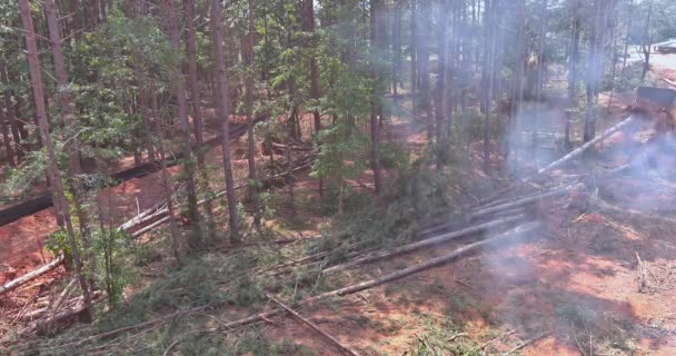 拖拉机正在进行砍伐树木和滥伐森林的工作 以便为在小区内建造新房屋准备土地 — 图库视频影像