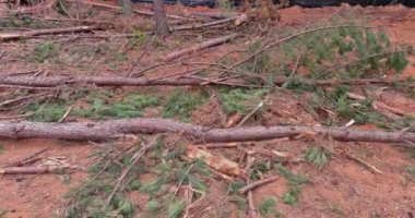 Kökleri sökülmüş inşaat alanının peyzajını temizleyerek yeni gelişmeler için temiz bir arazi haline geldi.