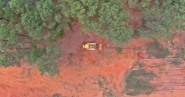 Ağaçların kökünü kazımak için bir dozer kullanarak ağaçların tahrip edilmesi ve inşaata hazırlanması.