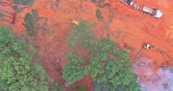 Cleaning Forest Preparing Grounds Construction Dozer Deforestation Process Construction Site — Vídeo de stock