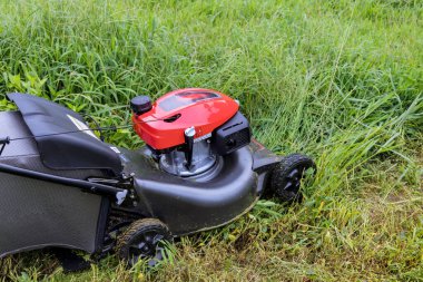 Green lawn with grass cutting, a garden care tool is seen in the working lawn mower of sunny day