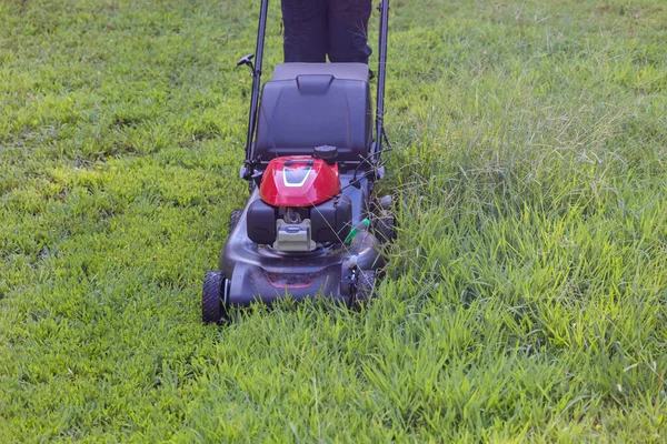 Using Lawn Mower Green Lawn Grass Cutting Garden Care Tool — Stok Foto