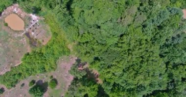 Güney Carolina 'da ormanın çevresindeki özel evi olan küçük bir kasabanın manzarası.