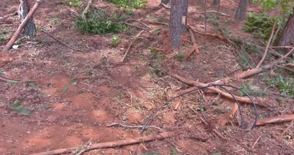 Scene Landscape Construction Site Dirt Uprooted Roots Clearing Land New — Stockvideo