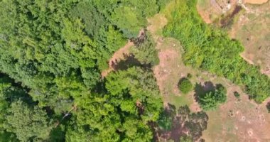 Güney Carolina 'da bir ormanın etrafında özel evleri olan küçük bir kasabanın tepesinden görüntü.