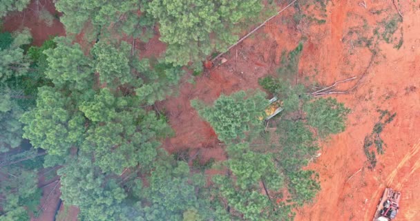 Ormanların Tahrip Edilmesi Için Düzinelerce Orman Inşaat Için Inşaat Arazisi — Stok video