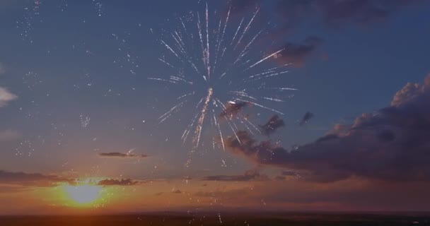 Festive Fireworks Display Launched Air Sunset Celebration Holiday — Stockvideo
