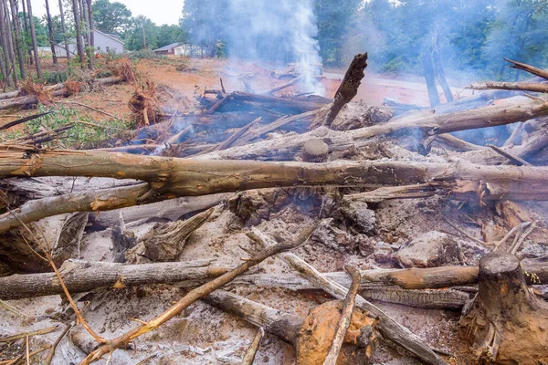 Forests are uprooted during the process of developing land for construction, and then burned to make way to new development