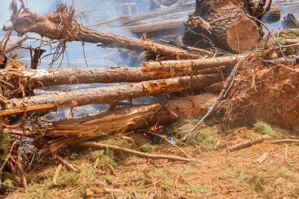 During the development of land for construction subdivision, the forest is uprooted and burned