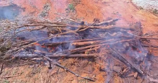 Development Land Construction Subdivision Forest Uprooted Burned — Stok Video