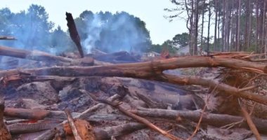 As environmental problem a result of the development of land for construction, the forest is uprooted and burned.