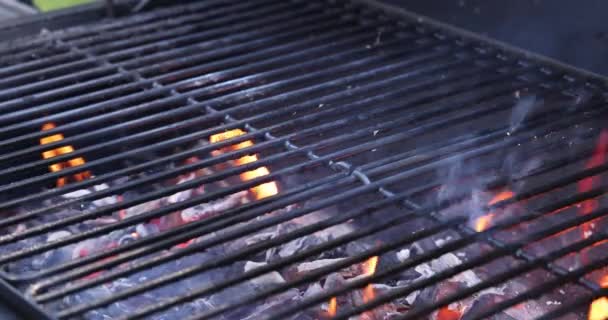 Preparation Fire Grilling Work Flames Burning Charcoal Log Make Fire — Stockvideo