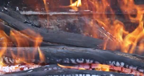 Preparation Fire Bbq Flame Burning Charcoal Logs Bonfire — Stock video
