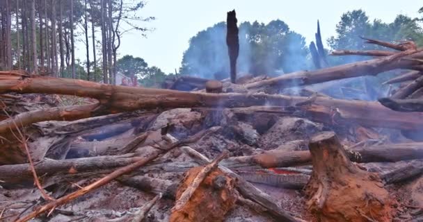 Ліс Викорінюється Спалюється Під Час Розвитку Земель Будівництва Також Екологічна — стокове відео